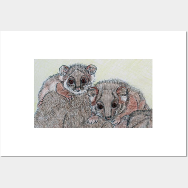 Ring-tailed possum babies Wall Art by Acetry99